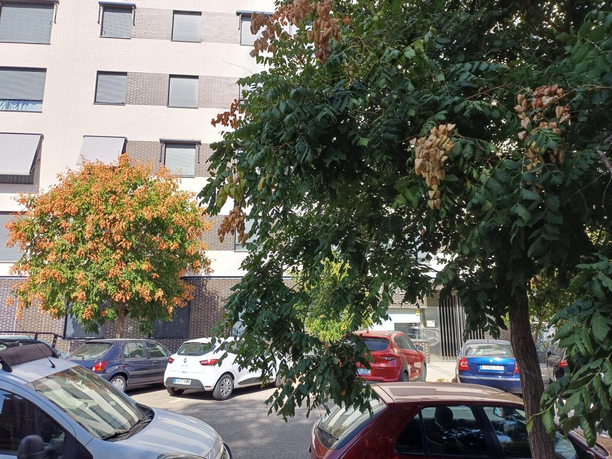 Estudios Nuevos Madrid Centro Eksteriør bilde