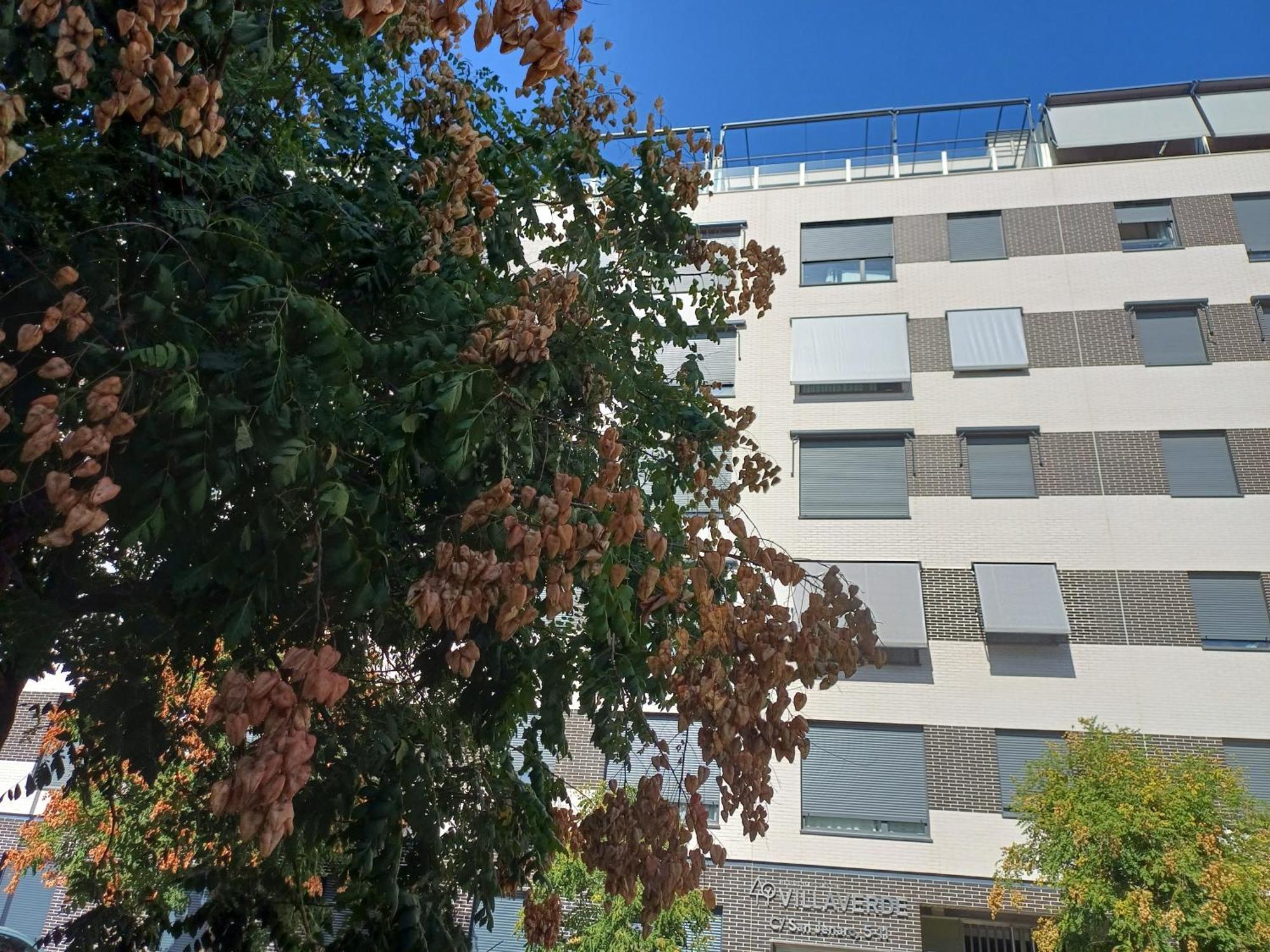 Estudios Nuevos Madrid Centro Eksteriør bilde